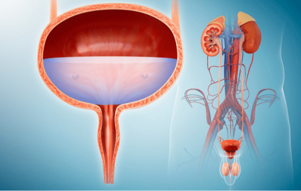 Best Urology Care & Urologist in Boisar, Palghar - Adhikari Lifeline